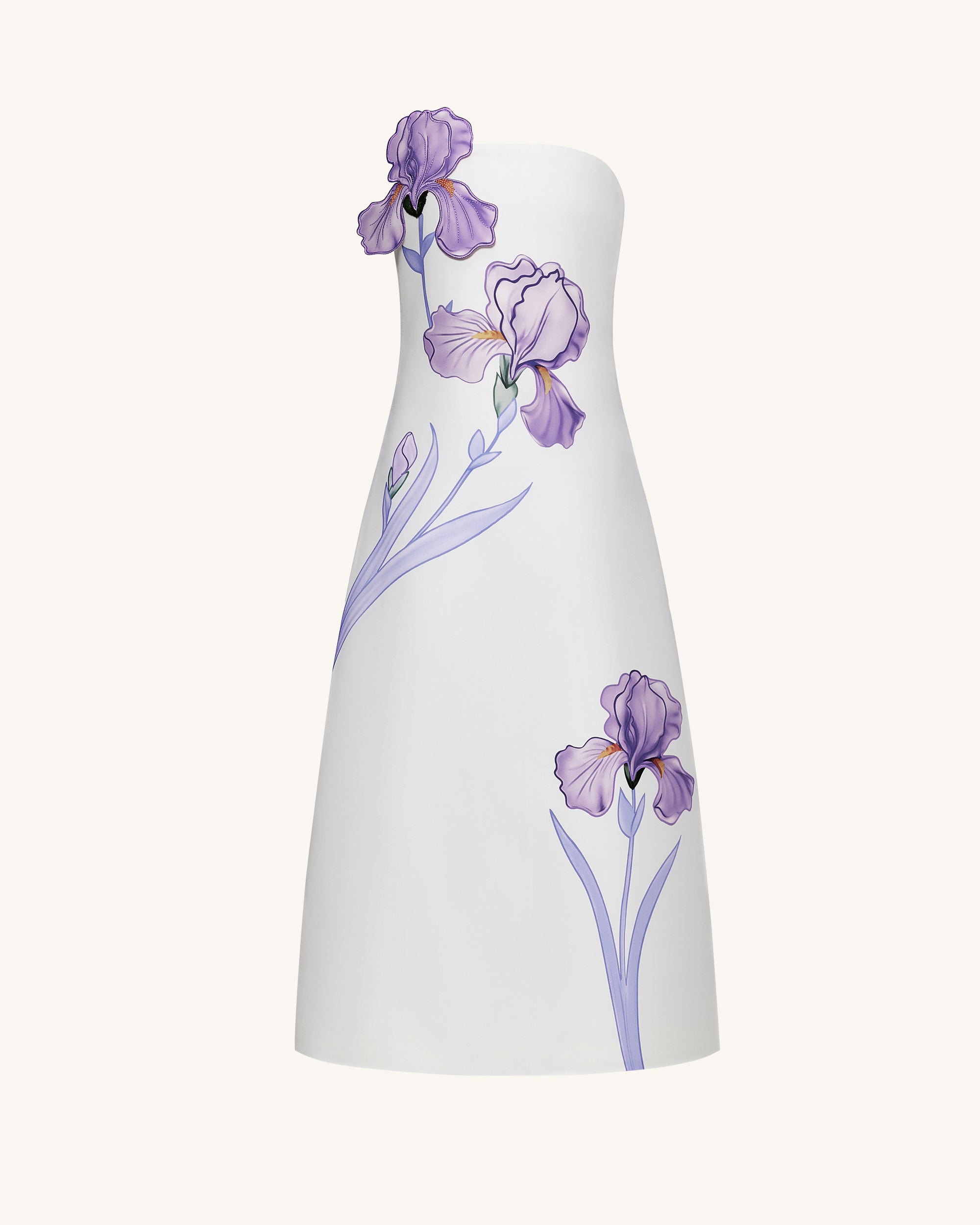 Iris Floral Print Strapless A-Line Maxi Dress - White - Image 2