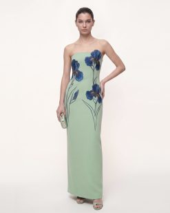 Iris Embroidered Strapless Maxi Dress - Mint Green