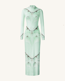 Alternative view of Moth Sheer Mesh Gown - Green/Beige